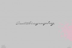 2005_Range_Rover_Autobiography_1
