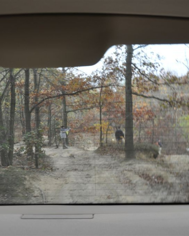 2010_Fall_Off_Road_Land_Rover_Long_Island_25
