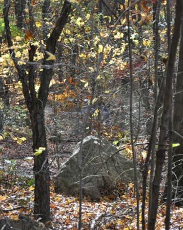 2010_Fall_Off_Road_Land_Rover_Long_Island_78