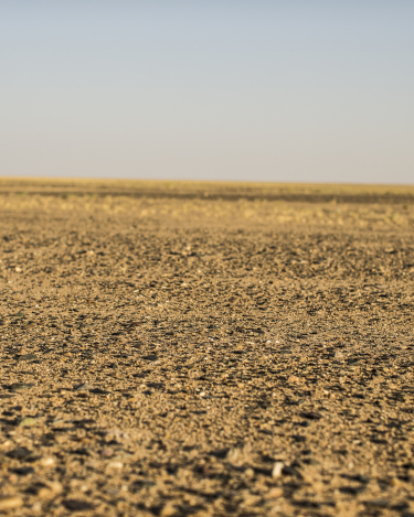 RR_RRS_Empty_Quarter_Challenge_041113_16