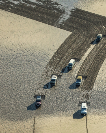 Year-of-Defender-Sand-Drawing-13