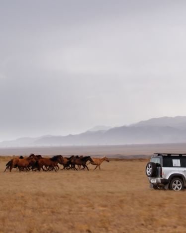 2020-Land-Rover-Defender-Off-Road-in-Kazakhstan-33