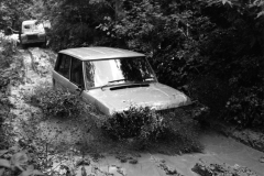 50_years_at_Eastnor_Castle_8
