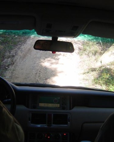 lrpic2_025