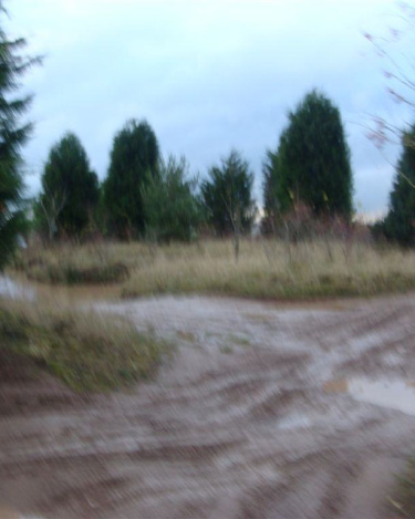 Home_of_the_Legend_Heritage_Tour_2007_104