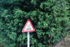 Home_of_the_Legend_Heritage_Tour_2007_84