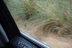 Home_of_the_Legend_Heritage_Tour_2007_88