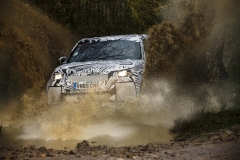 lrnewdiscotesting14091604