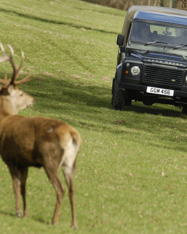 Land-Rover-Defender-Through-the-years-125