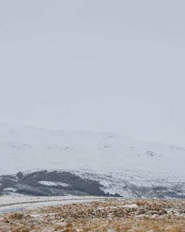 Land-Rover-Discovery-Sport-in-Iceland-Media-Drive-81