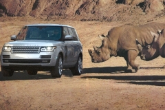 And-you-thought-your-teenagers-were-rough-on-a-car