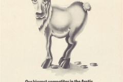 Our_biggest_competitor_in_the_Arctic